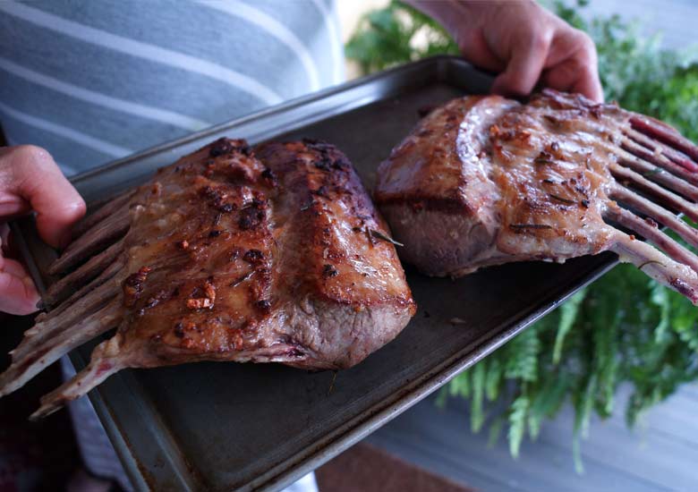 73217-lamb.jpeg