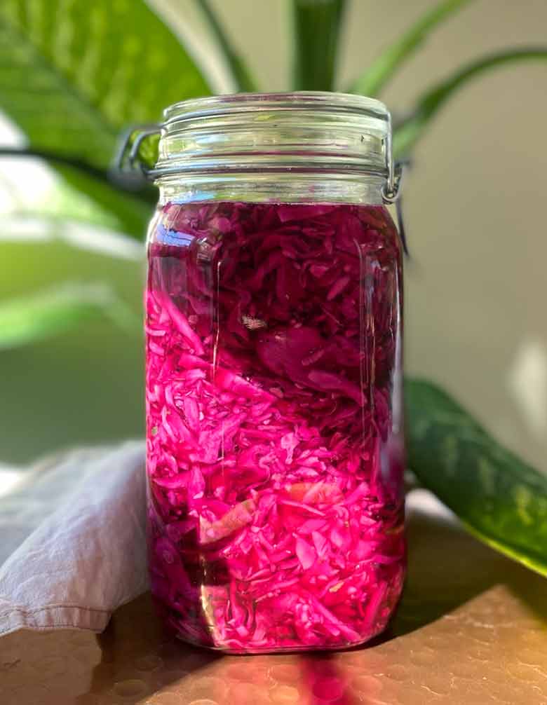 10506-col-morada-en-escabeche.jpeg